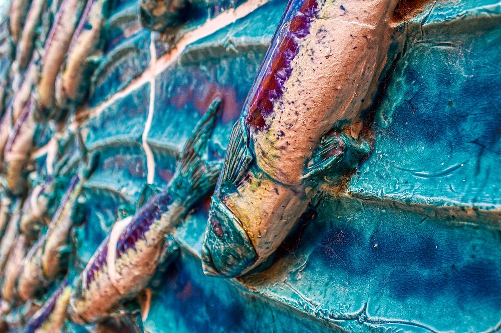 Fish killed by water pollution