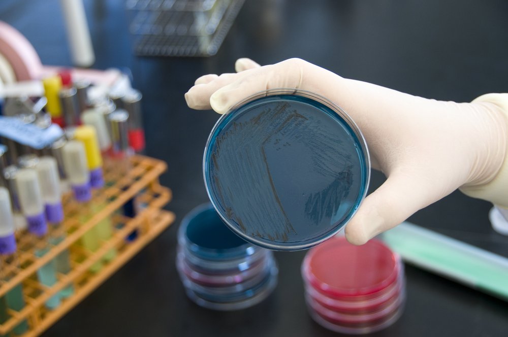 The Dangers of Going Raw – Salmonella&nbsp;Infection